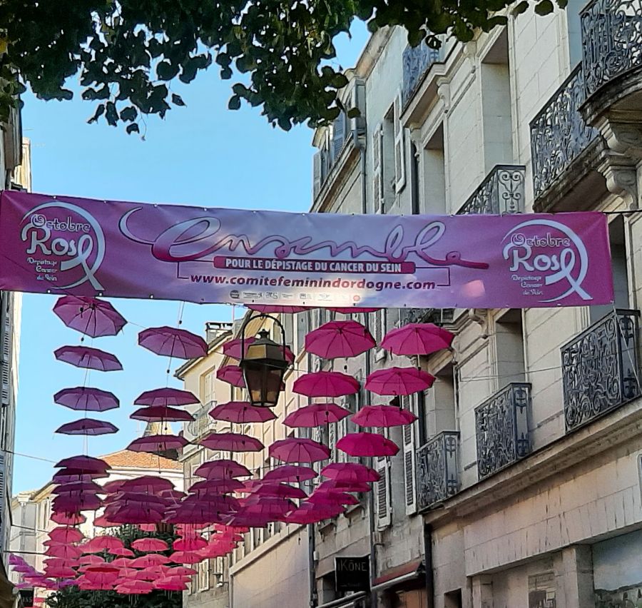 {Comité Féminin Dordogne Cancer} image