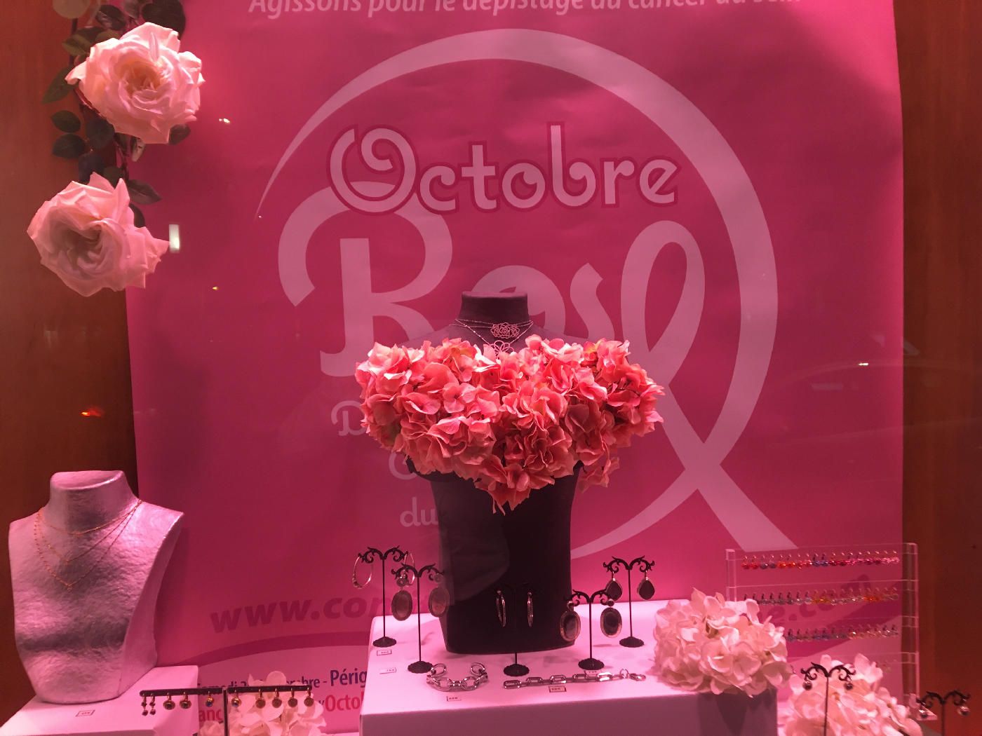Octobre Rose 2020 à Périgueux