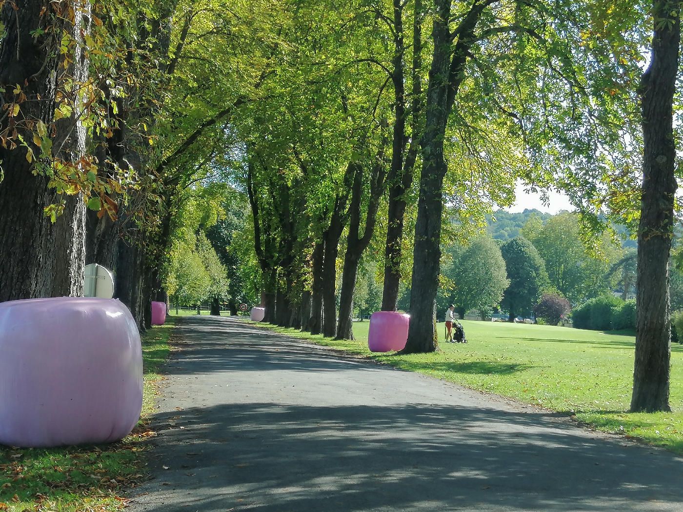 Octobre Rose 2020 à Périgueux