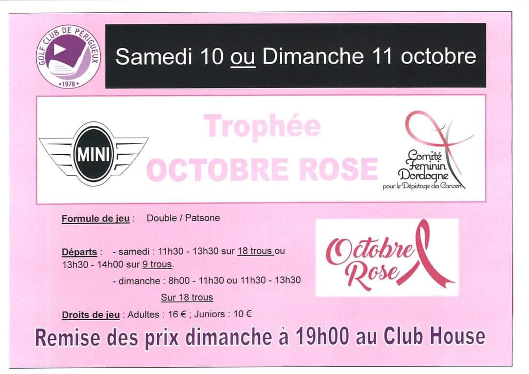 Octobre Rose 2020 à Périgueux